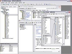 EMS DBISAM Manager Screenshot